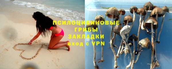 дживик Зерноград