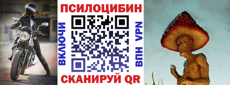 Купить где  Ачинск  Псилоцибиновые грибы прущие грибы 